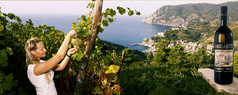 Begasti - Monterosso